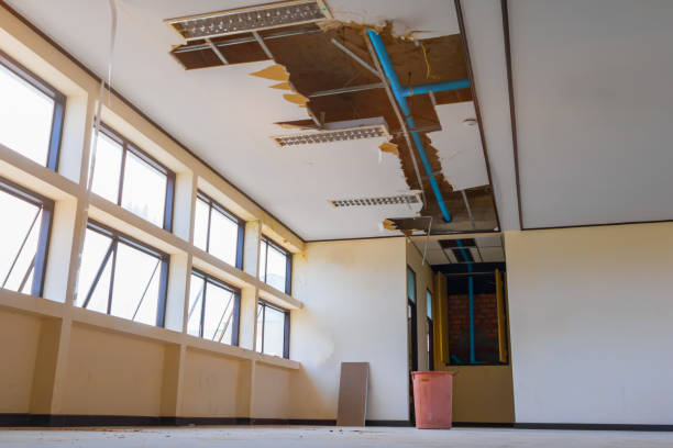 Best Water damage restoration specialists  in Zebulon, GA