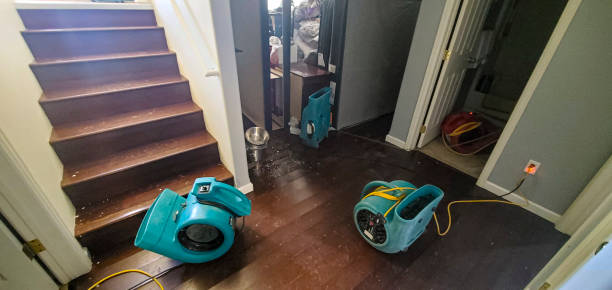 Best Carpet water damage restoration  in Zebulon, GA