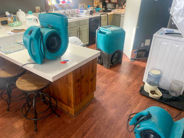 Best Water damage contractors near me  in Zebulon, GA