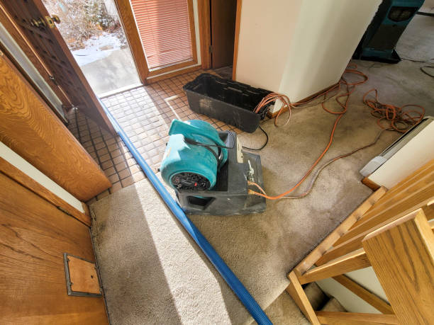 Best Mold removal after water damage  in Zebulon, GA