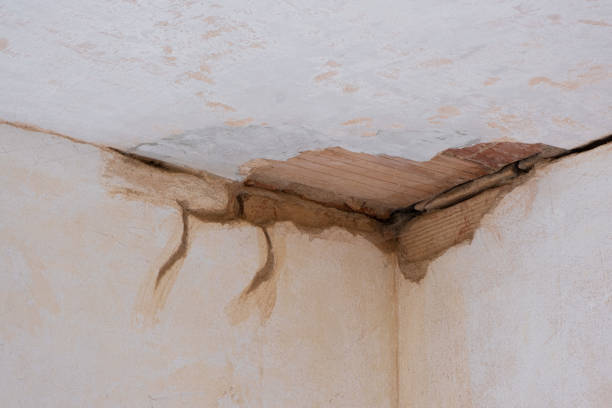 Best Carpet water damage restoration  in Zebulon, GA