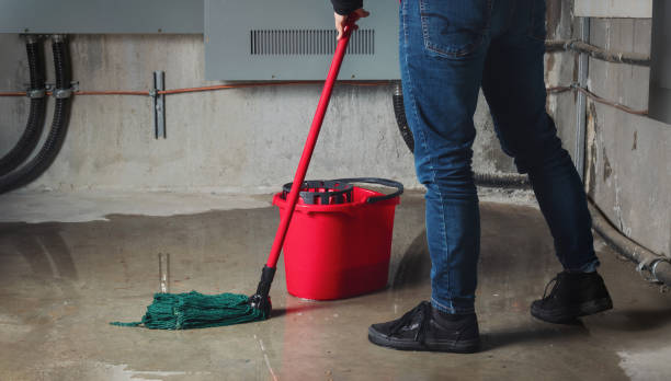 Best Water damage restoration process  in Zebulon, GA