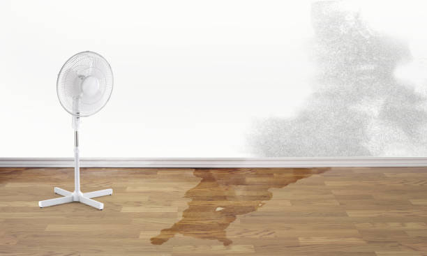 Best Water damage restoration near me  in Zebulon, GA
