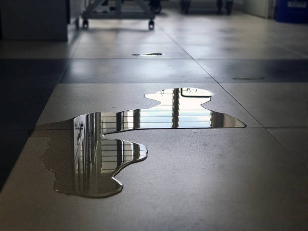 Best 24/7 water damage repair  in Zebulon, GA