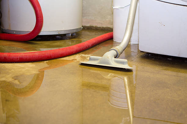 Best Ceiling water damage repair  in Zebulon, GA
