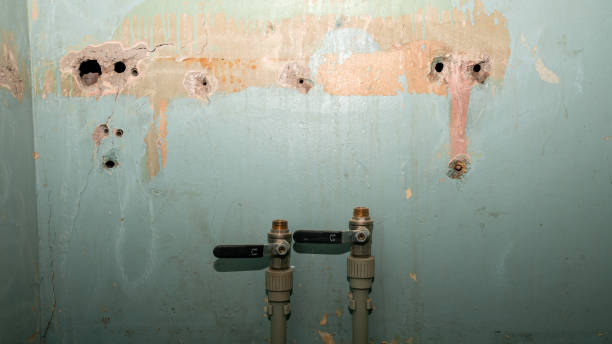 Best Ceiling water damage repair  in Zebulon, GA