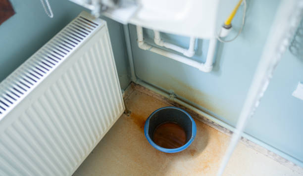 Best Water damage cleanup near me  in Zebulon, GA