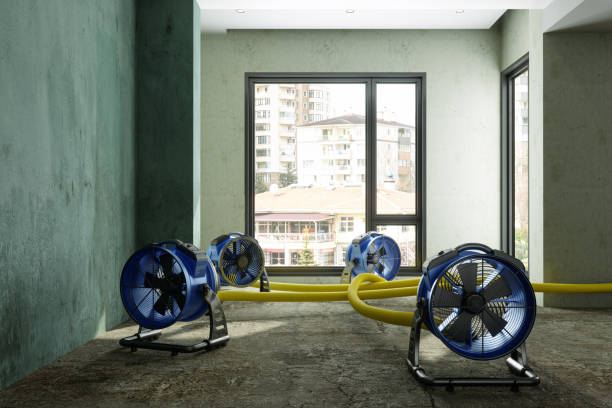 Best Professional water damage repair  in Zebulon, GA